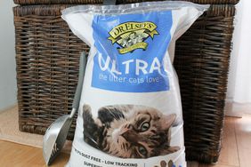 Dr. Elsey's Precious Cat Ultra Clumping Cat Litter displayed against a large woven basket on wooden flooring 