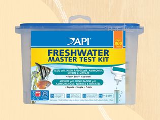 An aquarium water test kit we recommend on a yellow background