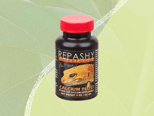 A calcium supplement for bearded dragons on a green background