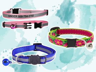 Collage of three breakaway cat collars displayed together on a stylized graphical blue background