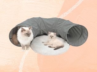 Cats using Catit Vesper Cat Tunnel collaged on a colorful background