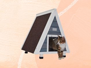 An outdoor cat house we recommend on an orange-yellow background