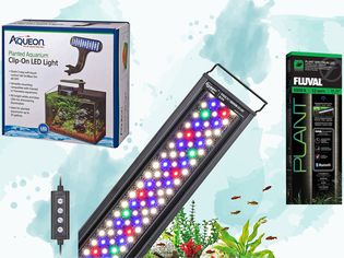 Three planted aquarium lights on a blue patterned background