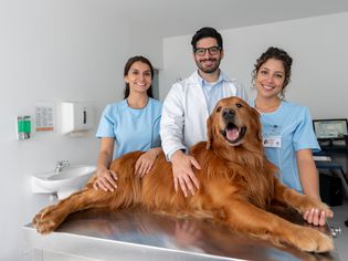 Vet Team with Dog