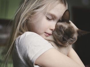 Girl holding Burmese cat