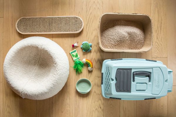 Cat food materials, bedding, toys and crate organized on wooden floor