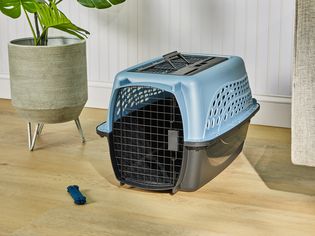 Petmate Two-Door Top-Load Pet Kennel displayed on hardwood floor next to a potted plant