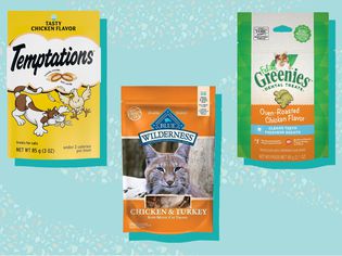 Assortment of the best healthy cat treats we recommend on a blue background