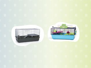 Two hamster cages outlined in white and displayed on a blue to green gradient patterned background 