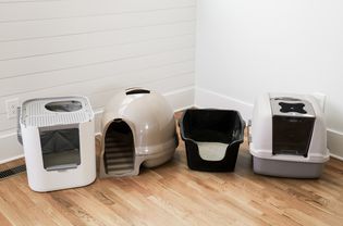 A side-by-side selection of cat litter boxes displayed on wood floor