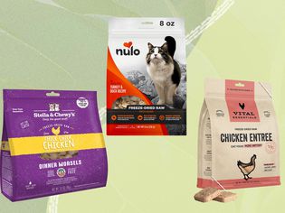 Frozen and freeze-dried raw cat food we recommend on a green background