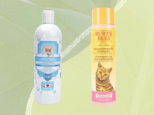 Cat shampoos we recommend on a green background