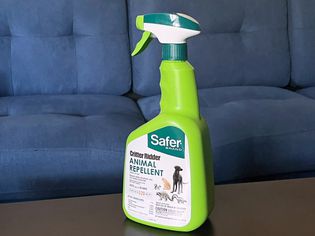 Safer Brand 5935 Critter Ridder Animal Repellent Ready-to-Use Spray on wood table in front of blue couch