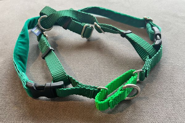 2 Hounds Design Freedom No-Pull Dog Harness