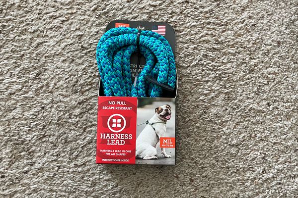 Harness Lead No Pull Dog Harness in its packaging