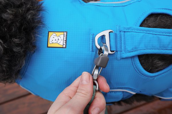 Hand attaching the leash onto the Ruffwear Web Master Dog Harness With Handle