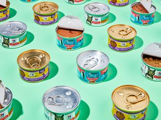 Cans of cat food we recommend on a green background