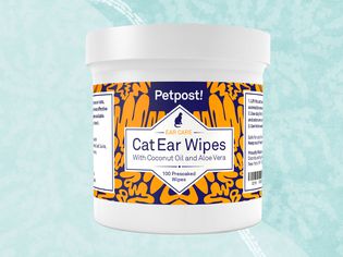 Ear Mite Treatments for Cats