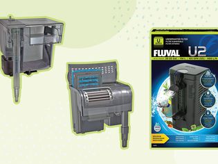 Best filtration systems for aquariums collaged against colorful green background