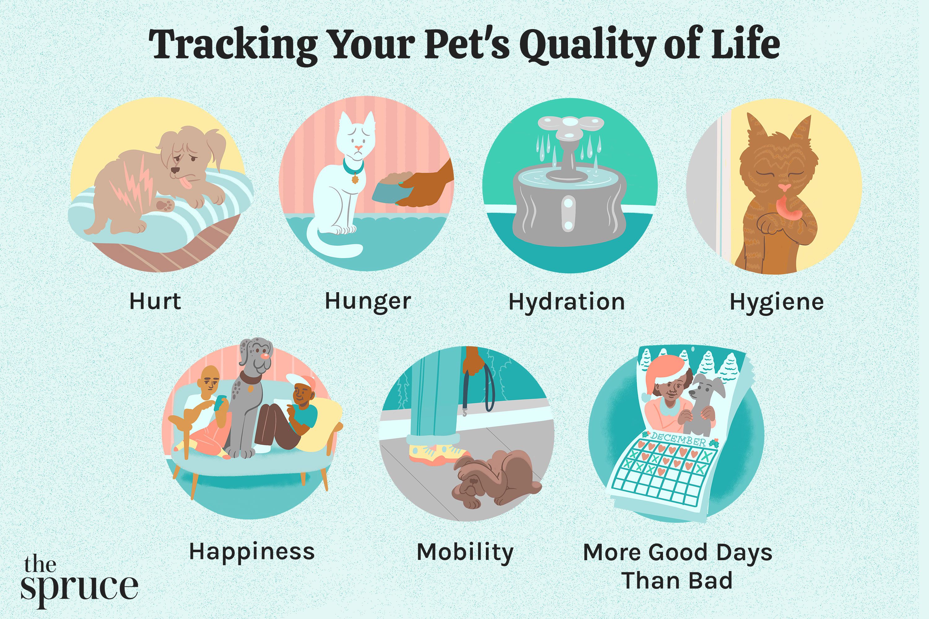 Tracking Your Pet's Quality of Life