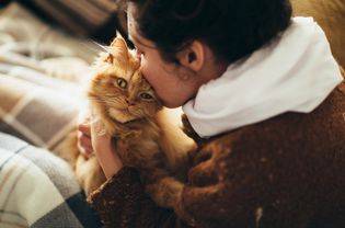 Woman kissing an orange cat