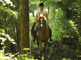 womanridinginwoods.jpg