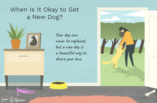 when should you get a new dog after your dog dies