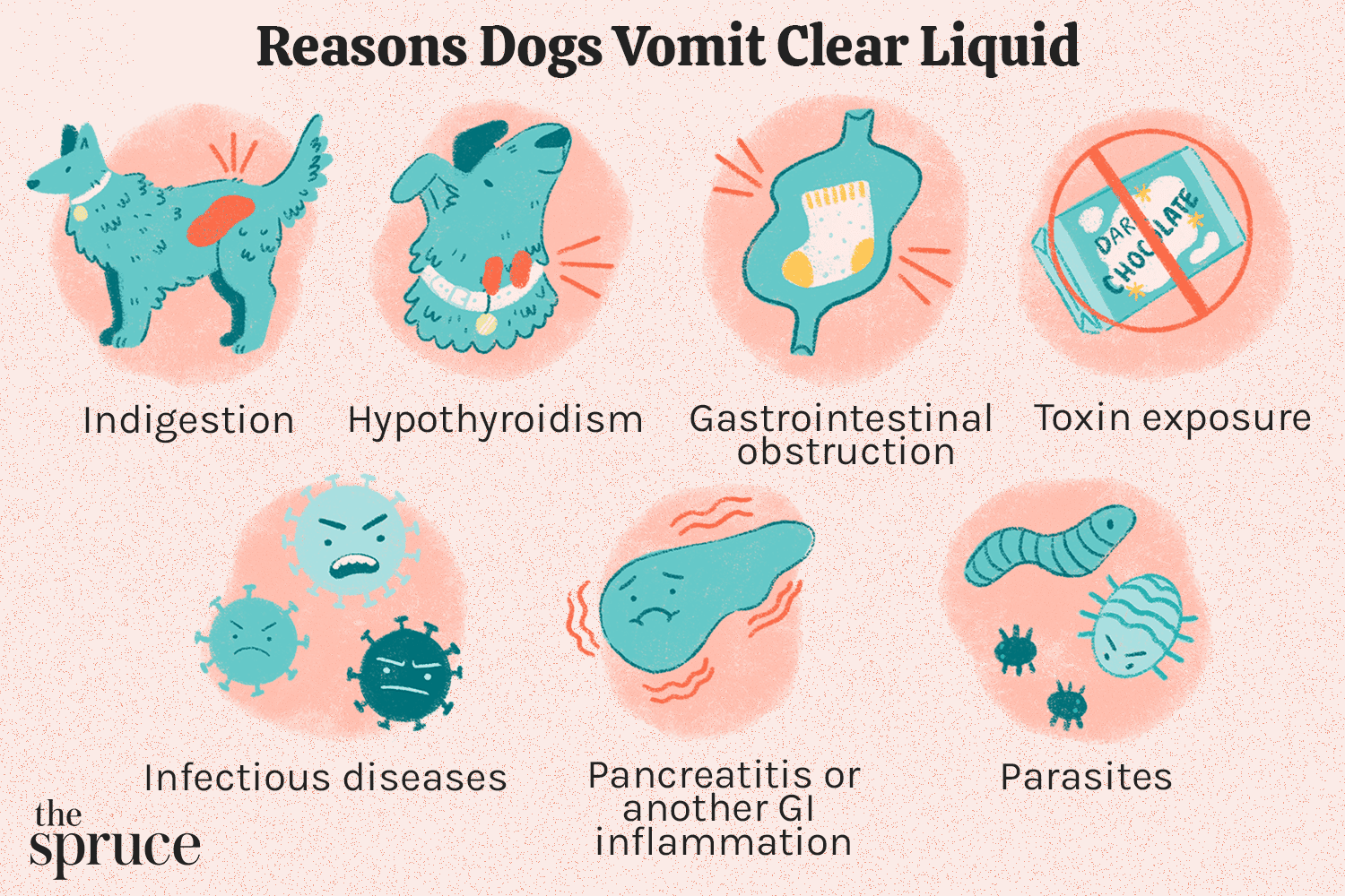 Reasons Dogs Might Vomit Up Clear Liquid